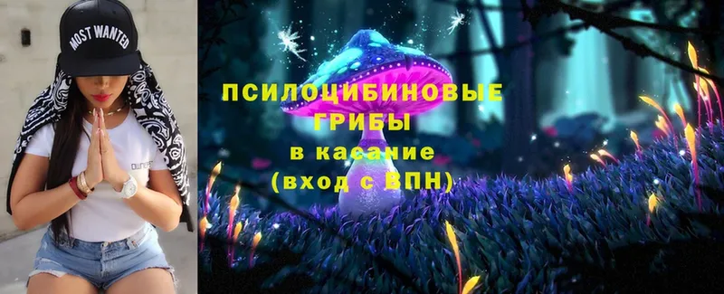 блэк спрут зеркало  продажа наркотиков  Куртамыш  Галлюциногенные грибы прущие грибы 